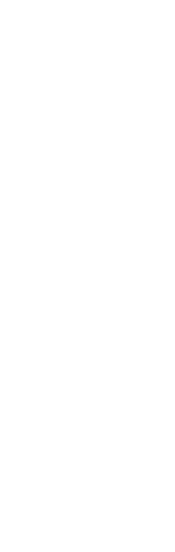 vsa