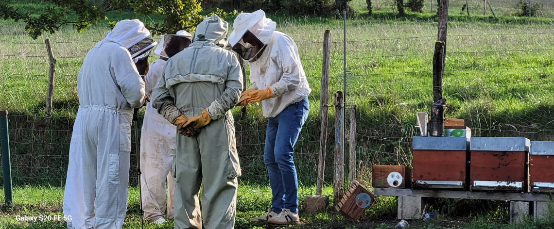Atelier apiculture en séjour aidants/aidés